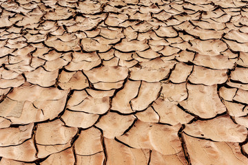 dryness in the desert