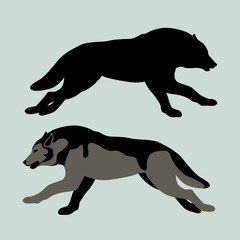 wolf vector illustration style Flat silhouette black