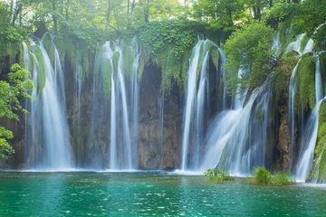 Foto op Plexiglas Plitvice lakes park in Croatia. © phant