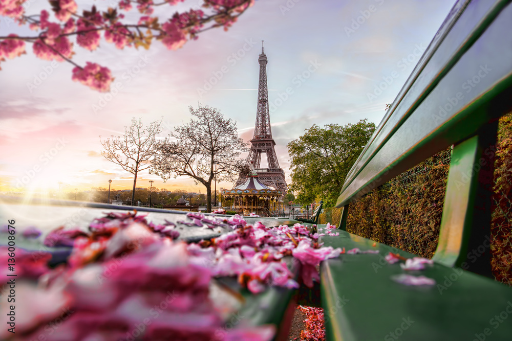 Wall mural eiffel tower during spring time in paris, france