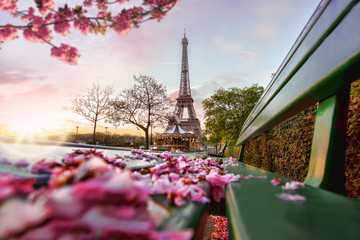 Obraz na płótnie Canvas Eiffel Tower during spring time in Paris, France