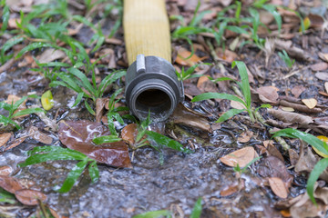 Fire hose on the ground after use
