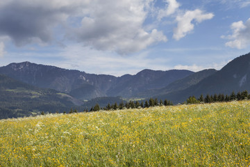 Fototapeta premium Wiosna w dolinie Gail