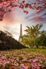 Naklejka na ściany i meble Eiffel Tower during spring time in Paris, France