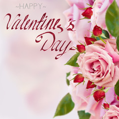 pink garden roses with buds with happy valentines day greetings