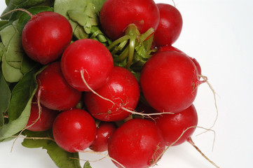 ecological Radishes on white background