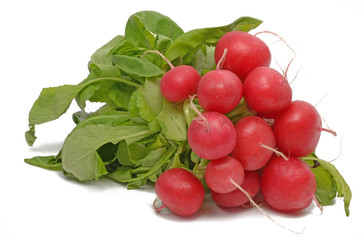 Radieschen