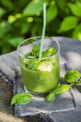 Fresh mousse cucumber celery basil