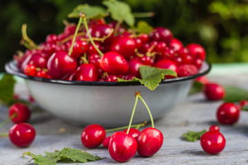 Fruit bowl full cherries currants