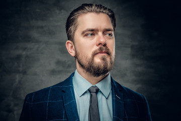 Portrait of bearded male in a bow tie.