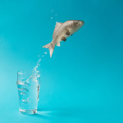 Fish jumping out of glass of water. Creative minimal concept.