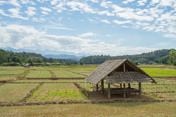 Fototapeta na wymiar Natural view with the small hut at Pai, Thailand