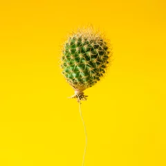Abwaschbare Fototapete Kaktus Kaktusballon auf leuchtend gelbem Hintergrund. Kreative minimale Nachteile