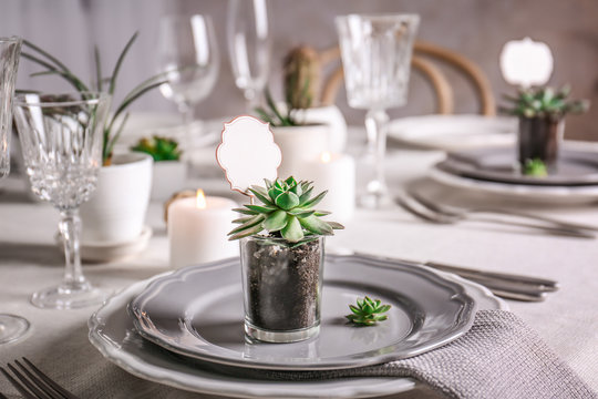 Table served with succulents on plate