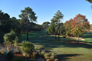 Ville de France : Lacanau - Golf