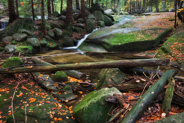 Forest Creek in Karkonosze Mountains, Poland