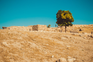 Amman Citadel area, Jordan. Archaeological site. Tourism industry. Summer vacation. Travel concept. Tourist attraction. Sightseeing tour. Famous historical monument. Tree and bench