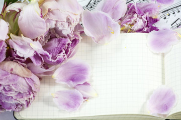 Opened notebook with several withered peonies on the musical notes