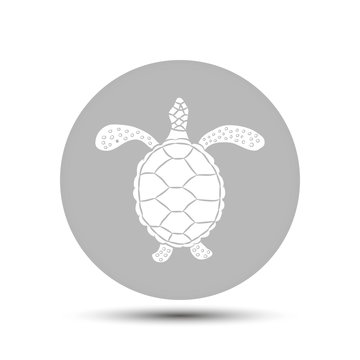 turtle vector icon on gray background
