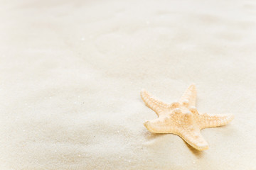 Fototapeta na wymiar Starfish on the sea sand