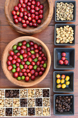 Coffee beans and fresh berries beans background