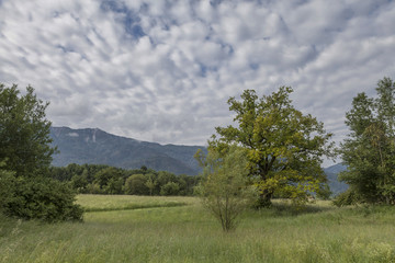 Landschaft in Kaernten, Oesterreich