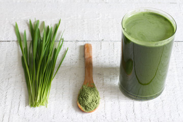 Young barley with fresh grass detox diet concept
