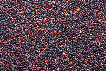 The grains of black rice background