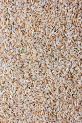 Grain brown rice background