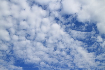 Blue sky and cloud