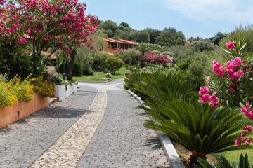 Beautiful Landscape Walkway in Garden