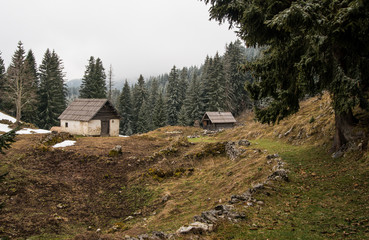 Traditional shepherd cottage on alpine meadow in Slovenia