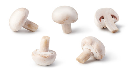 Champignon