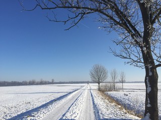 Schnee Eiskristalle Winterlandschaft