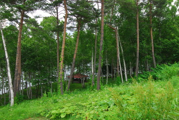 Cavern lake Rest house