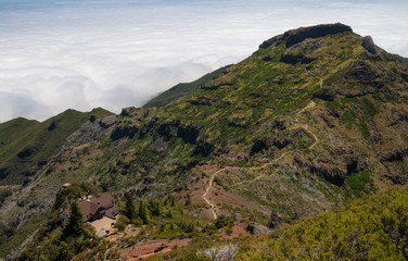 Fototapeta na wymiar Evergreen landscape of Madeira island, Portugal