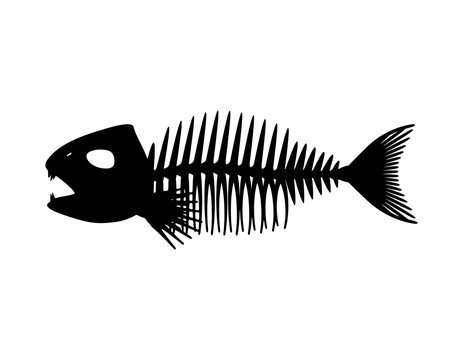 Fish skeleton. Isolated on white background. Vector silhouette i