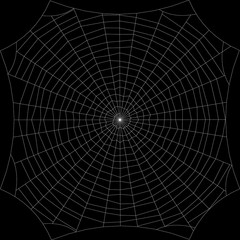 Spiderweb. Isolated on black background. Vector outline illustra