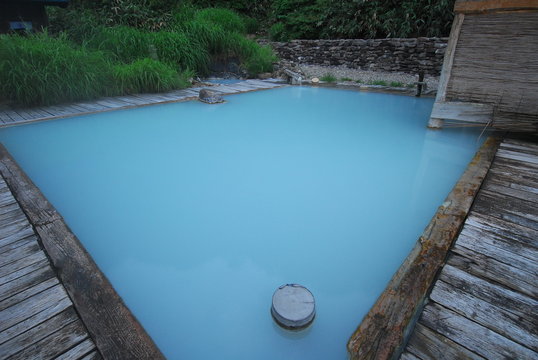 Nyuto Onsen Crane soup