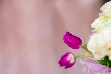 The bride's bouquet, white roses, tulips, delicate flowers, use as background or texture, soft pastel colors