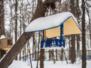 Feeders for birds in the park to feed the birds in winter.