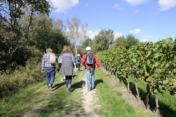 unterwegs bei der siefersheimer weinwanderung