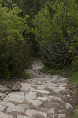 Fototapeta premium Hiking trail in mountain 
