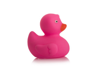 Pink rubber duck on White Background