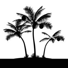 tropical island beach palm trees