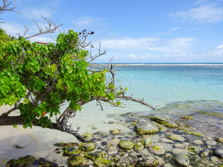 Fototapeta premium Guadeloupe, Caribbean