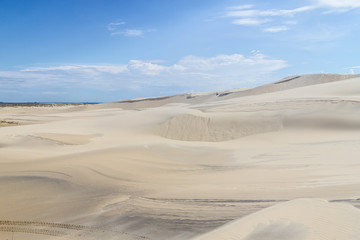 Fototapeta na wymiar Dunes in the Lagoa do Peixe lake