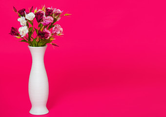 Still life with beautiful eustoma flowers in white vase on bright pink background