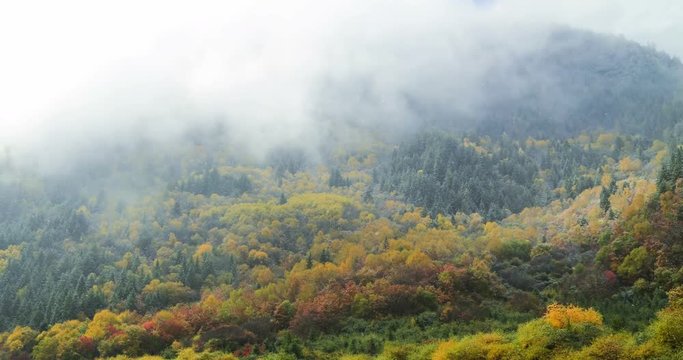 The beautiful Juizhaigou Valley (Valley of nine villages) National Park in autumn, winter in aba state, sichuan province, China. Time lapse.
