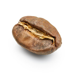 Coffee bean close up